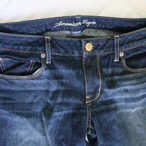 American Eagle Stretch Skinny Jeans Size 12 Short